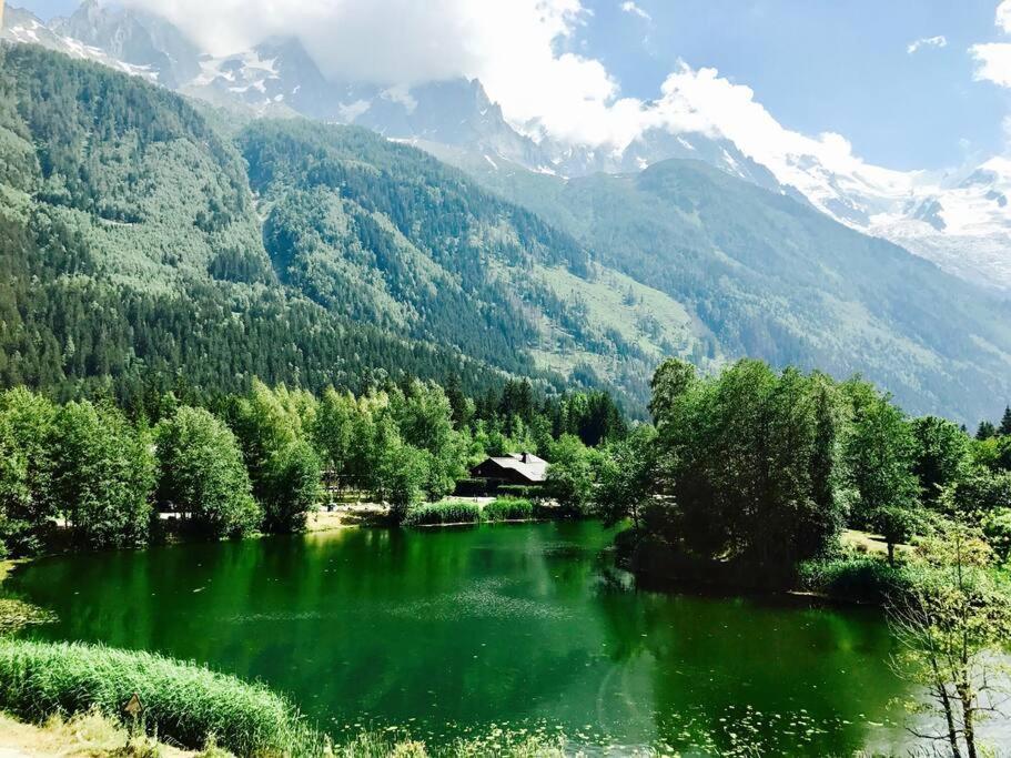 Modern 2Br 5* Pool Gym Spa Garage Mont-Blanc View Chamonix Kültér fotó